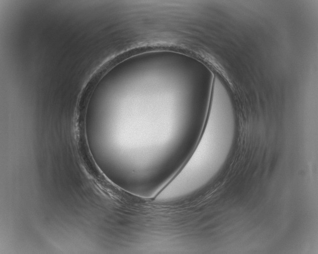 X0000074930676200609010920