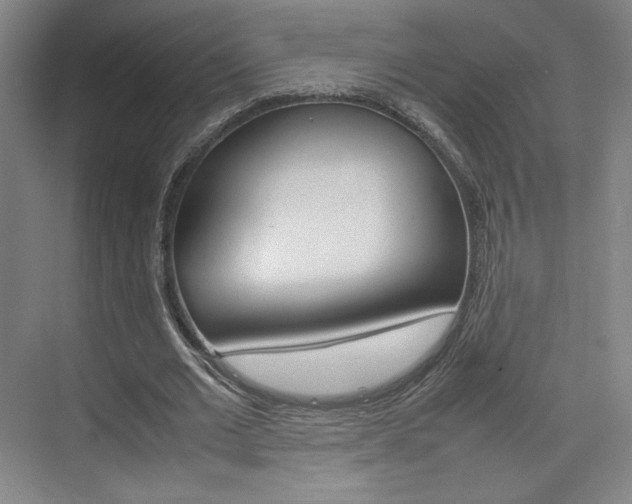X0000074930677200609010920