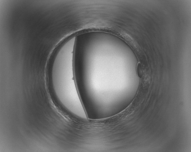X0000074930680200609010920