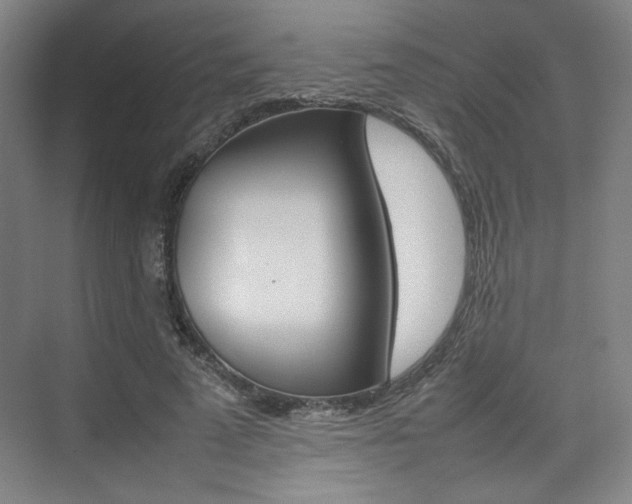 X0000074930689200609010919