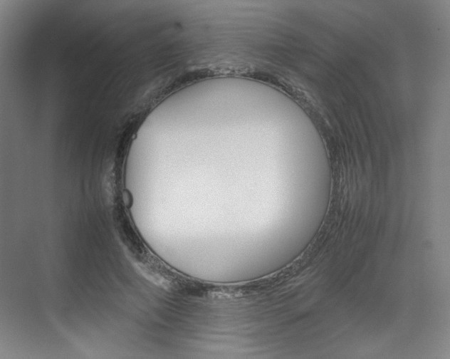 X0000074930690200609010919