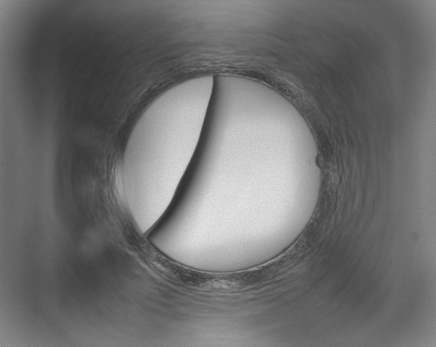 X0000074930691200609010919