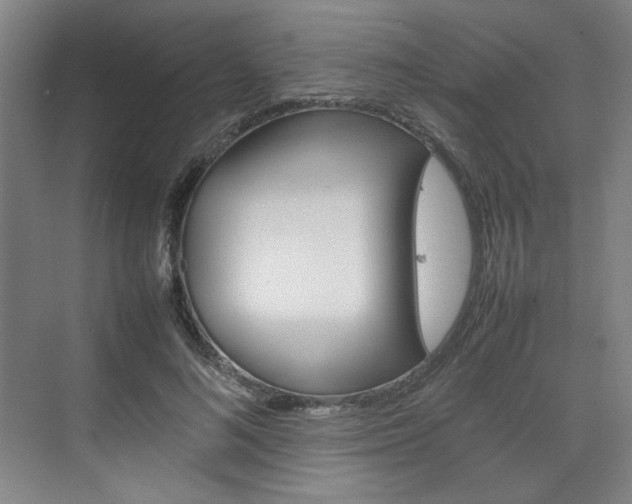 X0000074930692200609010919