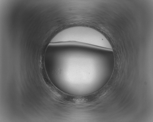X0000074930693200609010919