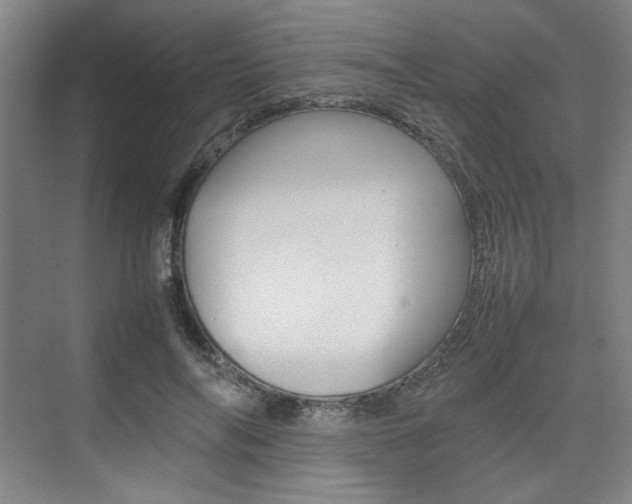 X0000074930694200609010919