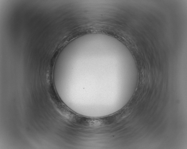 X0000074930698200609010919