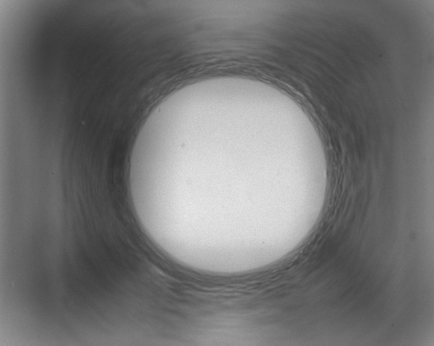 X0000074930701200609010919