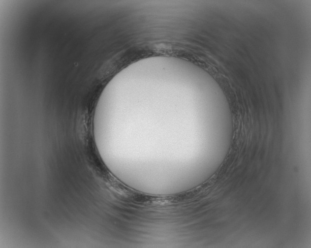 X0000074930702200609010919