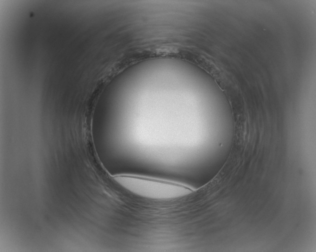 X0000074930704200609010919