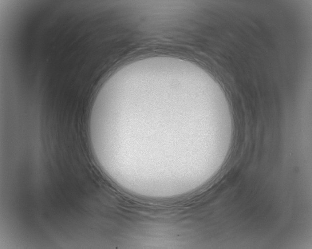 X0000074930705200609010919