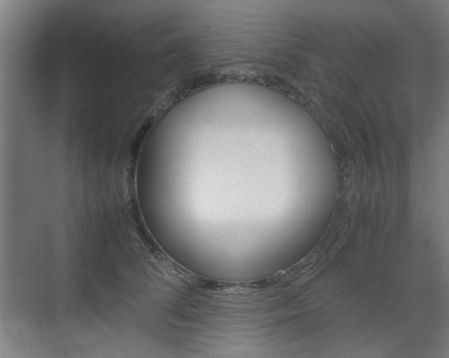 X0000074930708200609010919