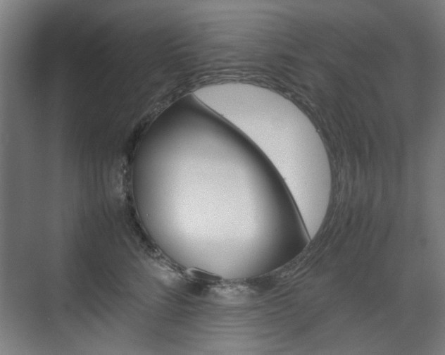 X0000074930712200609010919