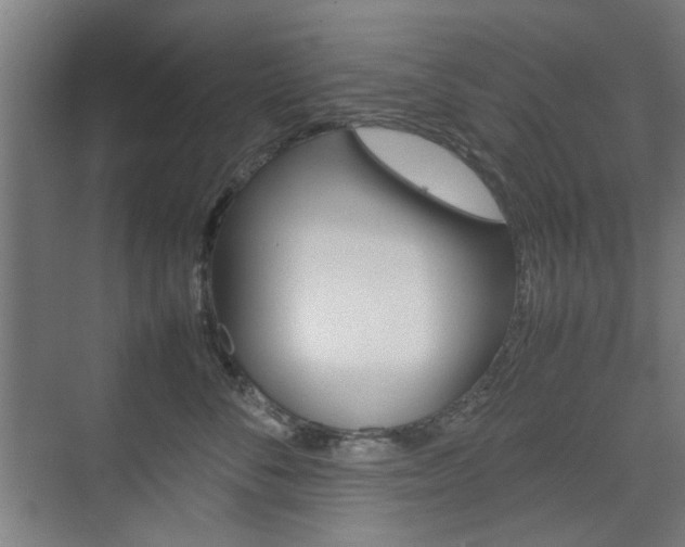 X0000074930716200609010919