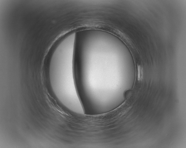 X0000074930723200609010918