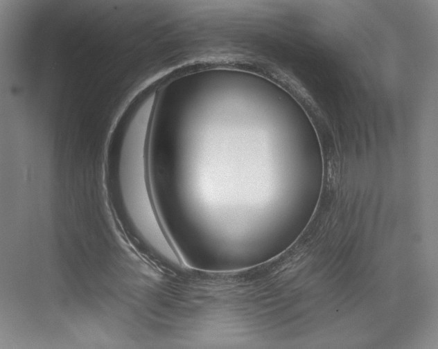 X0000074930724200609010918