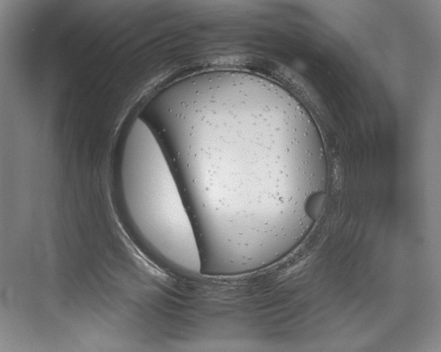 X0000074930725200609010918