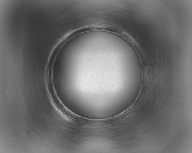 X0000074930726200609010918
