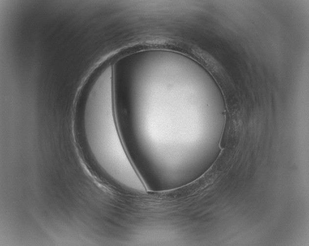 X0000074930728200609010918