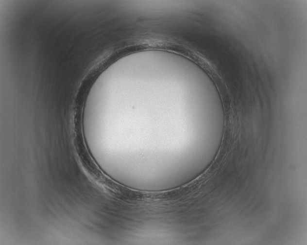 X0000074930730200609010918