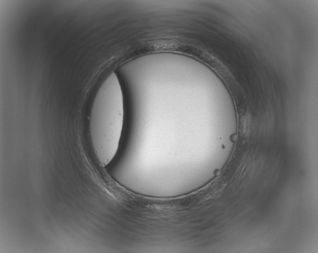 X0000074930733200609010918