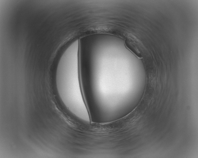 X0000074930735200609010918