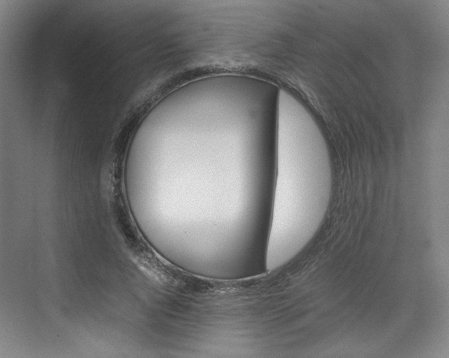 X0000074930736200609010918