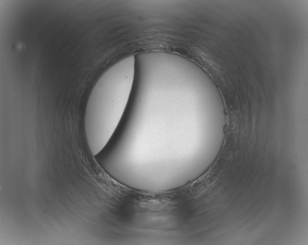 X0000074930737200609010918
