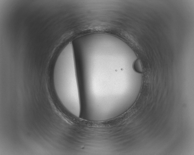 X0000074930738200609010918