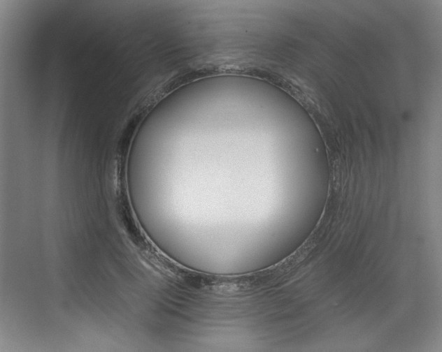 X0000074930740200609010918