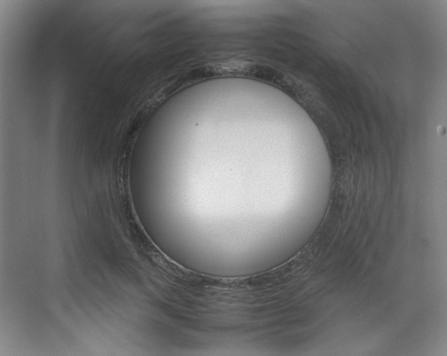 X0000074930743200609010918