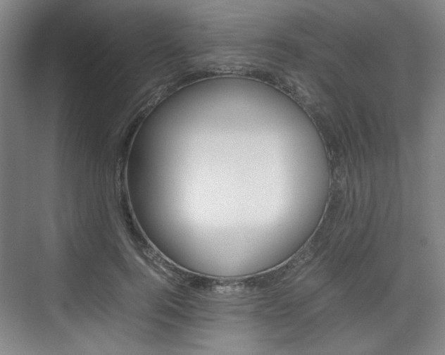 X0000074930744200609010919