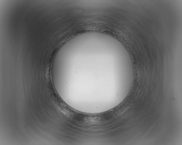 X0000074930745200609010919