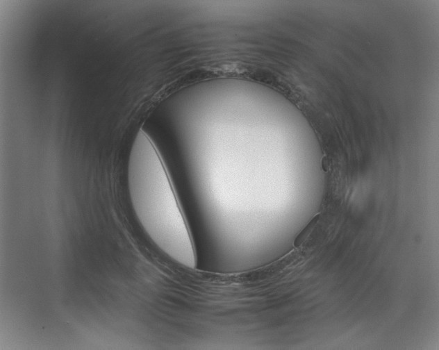 X0000074930747200609010919