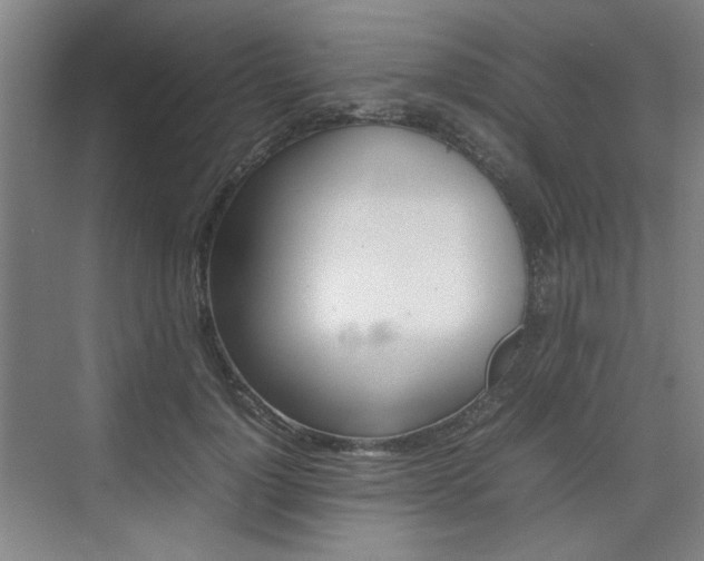 X0000074930748200609010919