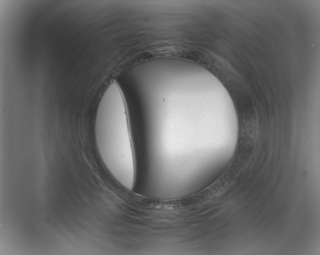 X0000074930751200609010919
