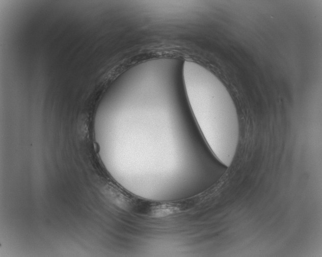 X0000074930754200609010919