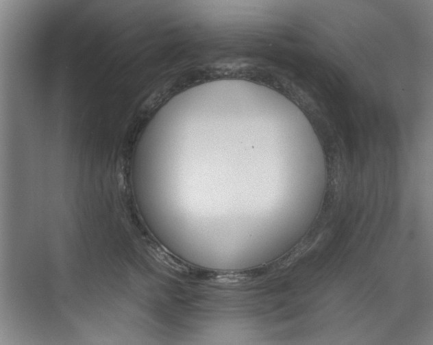 X0000074930758200609010919