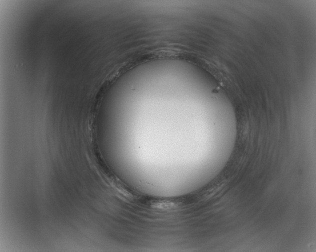 X0000074930759200609010919