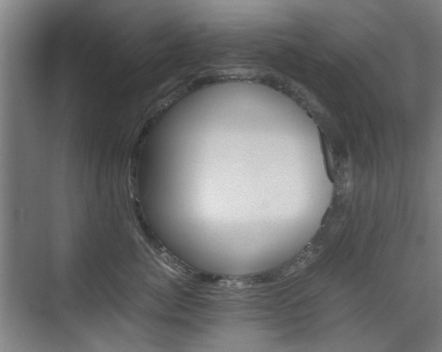 X0000074930764200609010919