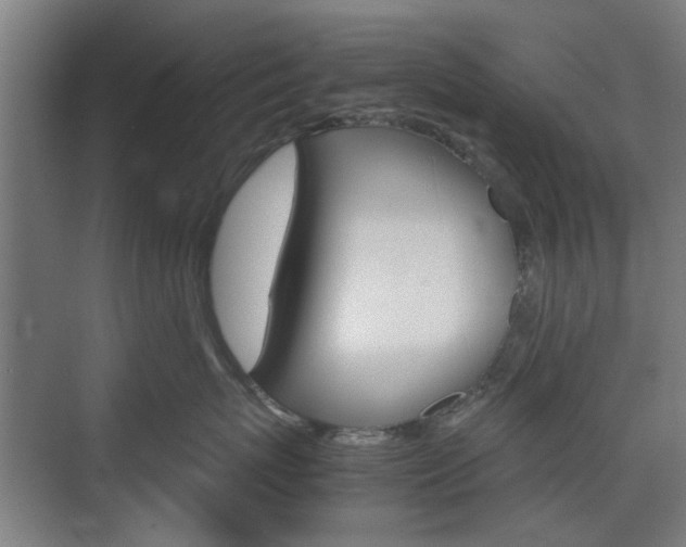 X0000074930767200609010919