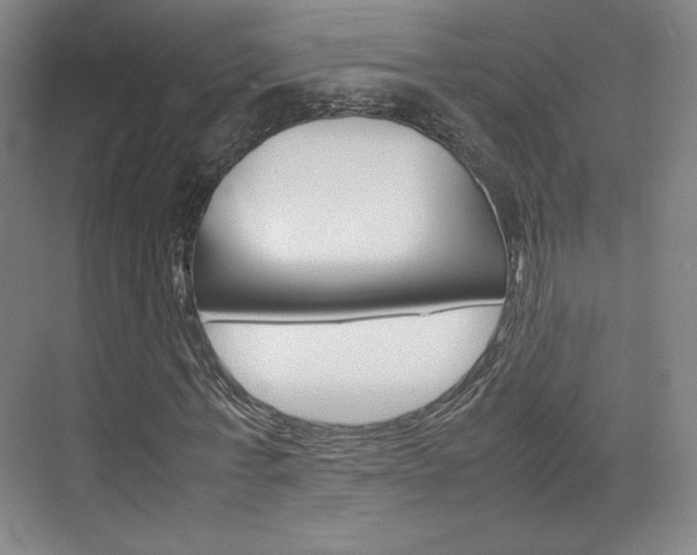 X0000074930771200609010918