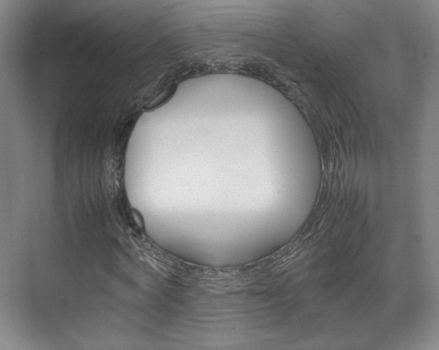 X0000074930772200609010918
