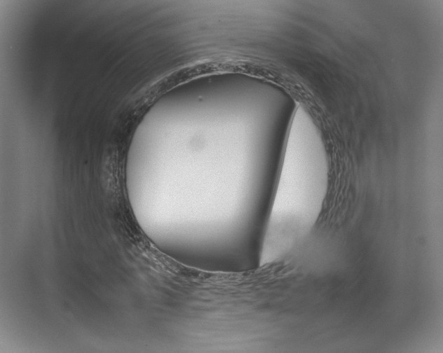 X0000074930773200609010918