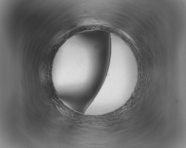 X0000074930775200609010918