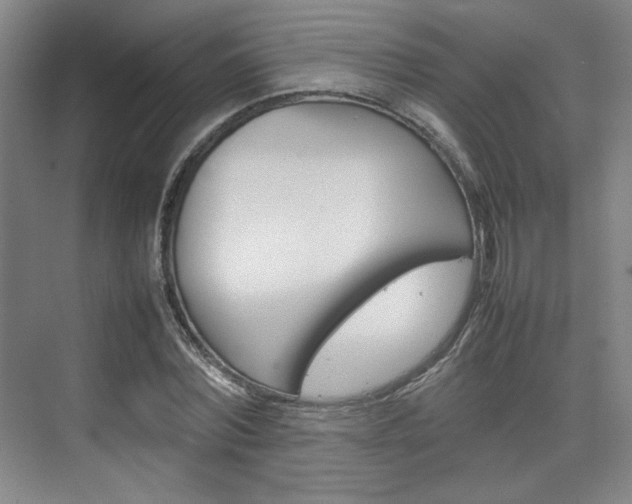 X0000074930780200609010918