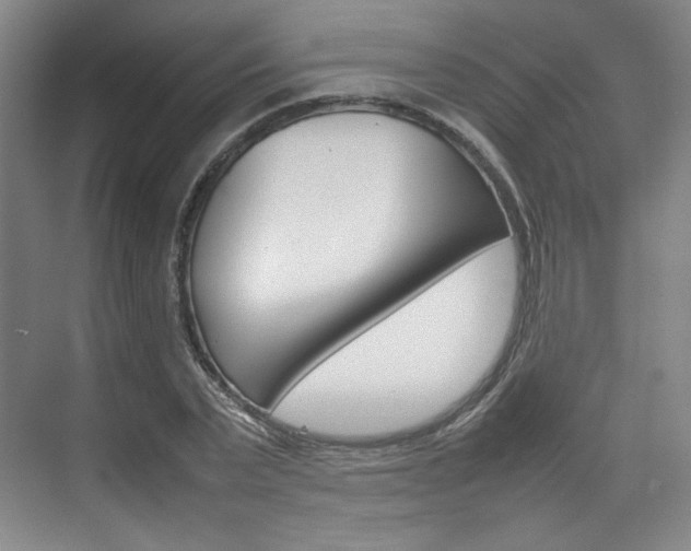 X0000074930783200609010918