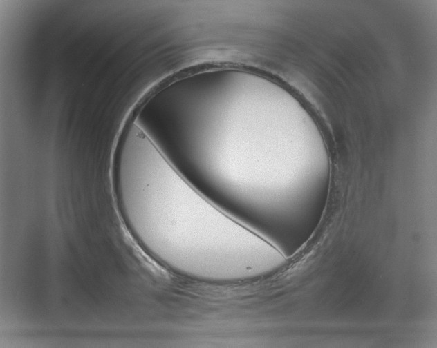 X0000074930791200609010918