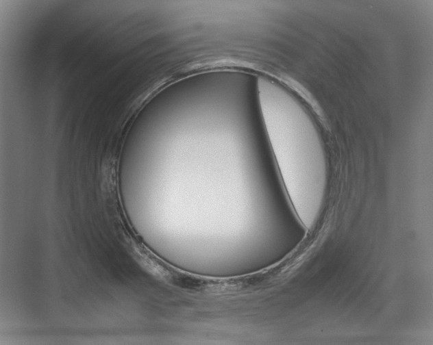 X0000074930793200609010918