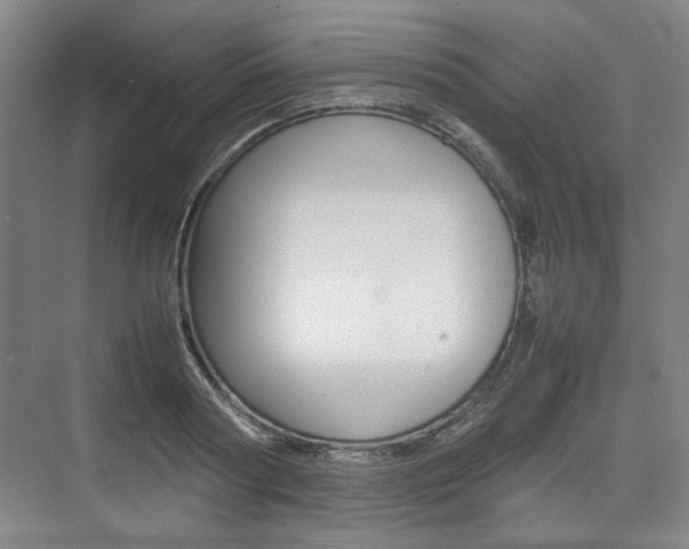 X0000074930794200609010918