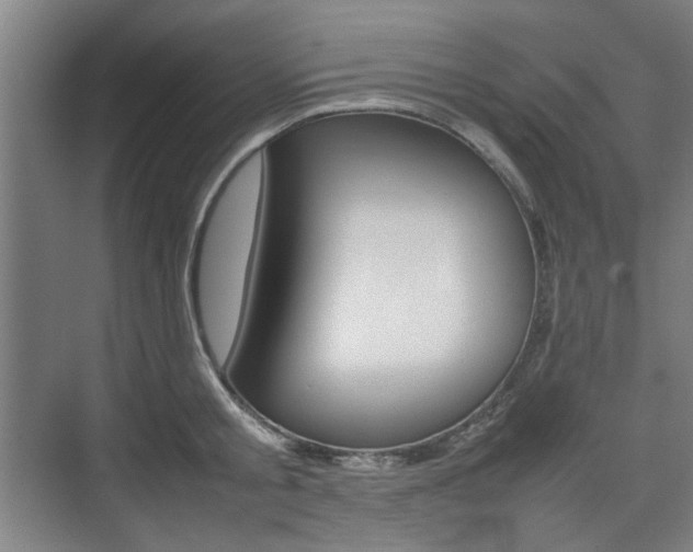 X0000074930805200609010917